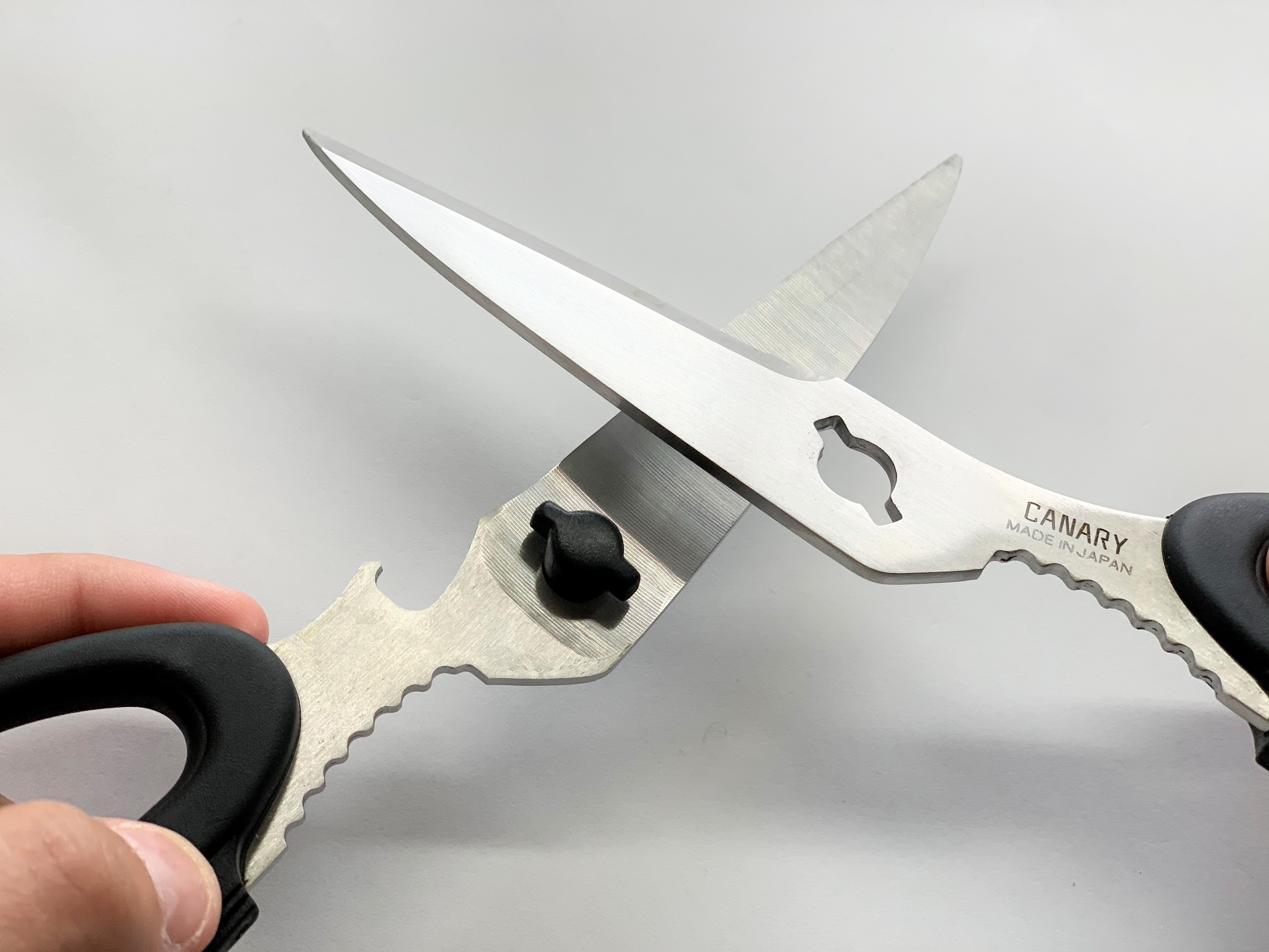 CANARY All Purpose Industrial Scissors with Cover 6.5 [Curved Angled  Blade], Made in JAPAN, Heavy Duty Razor Sharp Japanese Stainless Steel  Blade